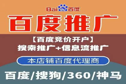 实战案例：SEM优化助力品牌知名度提升